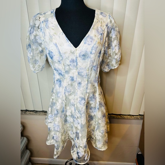 Altard State Whitley Seamed Floral Puff Sleeve Dress Size Large - Picture 2 of 8